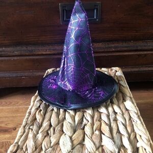 Martha Stewart purple Halloween witch costume for pets in size L/XL